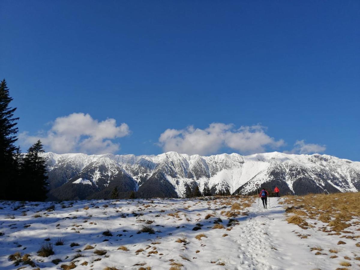 Pensiunea Crai Nou Şirnea Exterior foto